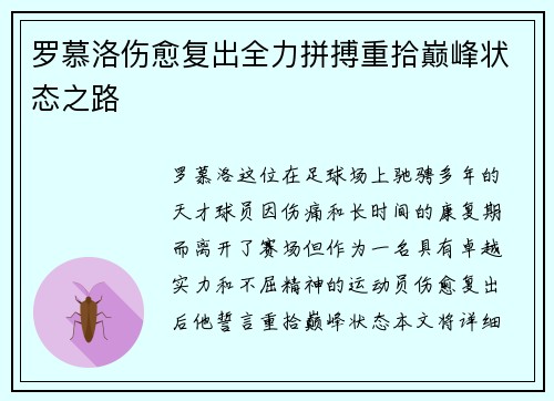 罗慕洛伤愈复出全力拼搏重拾巅峰状态之路